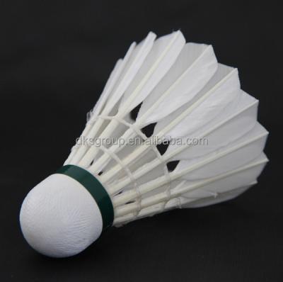 China Badminton training course one indoor cigu duck feather badminton shuttlecock for sale