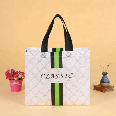 China China Supplier of Reclycled Heat Sealed Laminated Promotional PP Non Woven Bag for sale