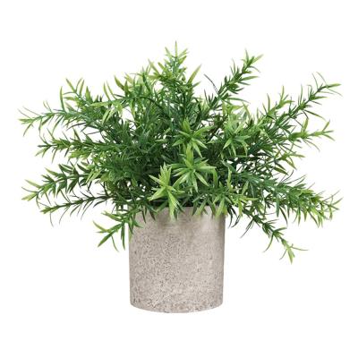 China Plants DS512 Mini Indoor Decorations Artificial Plant Potted Desktop Plants Natural Nordic Touch Hedyotis Diffusa for sale