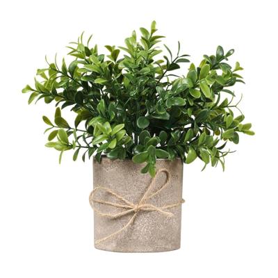 China DS557 Plants Natural Potted Office Decor Nordic Artificial Grass Watercress Touch Plant for sale