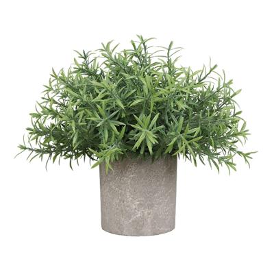 China Natural Touch Cipher Hedyotis Plant DS523 Plant DS523 Plastic Artificial Desktop Dusting Potted Mini Indoor Decorations for sale