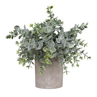 China DS528 Natural Touch Frosted Potted Desktop Nordic Plants Mini Indoor Decorations Artificial Acute Eucalyptus Wholesale for sale