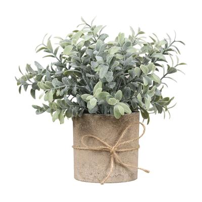 China Frost Contact Plant DS559 Potted Desktop Artificial Watercress Grass Natural Plants With Pots Nordic Decorations Artificial Plant for sale