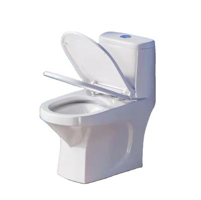 China Porcelain Ceramic Wall Hung Toilet White Europe Style Bathroom with Buffer Cover Plate for sale