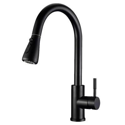 China Modern Kitchen Faucet with Pull Out Sprayer and Water Supply Hose 304 Stainless Steel for sale