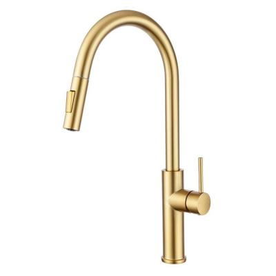 China Modern Brass Kitchen Tap with Pull Out Sprayer and 360 Degree Swivel in Brushed Gold for sale