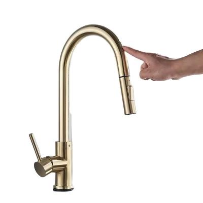 China Single Handle Gold Stainless Steel Kitchen Faucet Pull-Out Nozzle and Traditional Style for sale