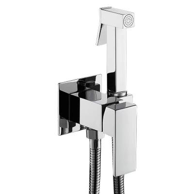 China Morden 304 Stainless Steel Brushed Bathroom Shattaf Toilet Bidet Shower Sprayer Set for sale