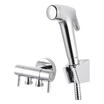 China Keeping Body Clean Silver Handheld Toilet Shattaf Bidet Sprayer With Hose Set in 2024 for sale