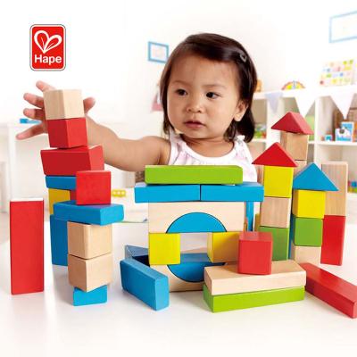 China Building Toy Hot Sale Educational Building Toys Blocks Wooden Educational Building Block Toys For Children for sale