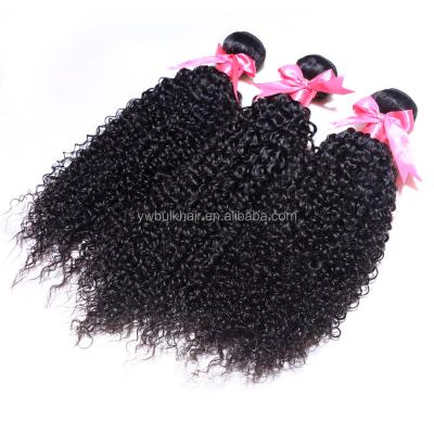 China Curly Curly YL KBL Trade Assurance Accept 100% Virgin Cambodian Curly Kinky Wholesale Hair Weave, Raw Cambodian Hair for sale