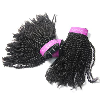 China YL KBL Kinky Curly Brazilian Hair Sew In Curly Weave Brazilian Hair Weave Bundles Accept Paypal for sale