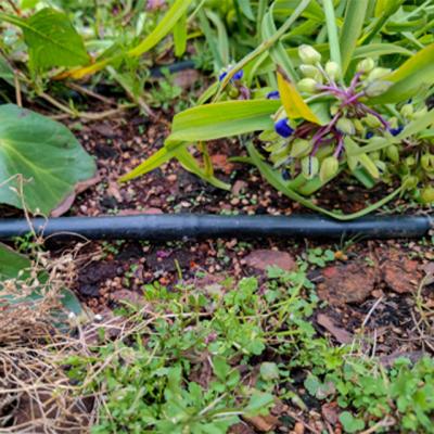 China Garden Irrigation Water Saving Drip Irrigation Belt In Agriculture 16mm Round Drip Irrigation Hose Te koop