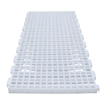 China Chicken House Chicken House White Slatted Grate Laid Plastic Chicken Flooring For Broiler Farm for sale