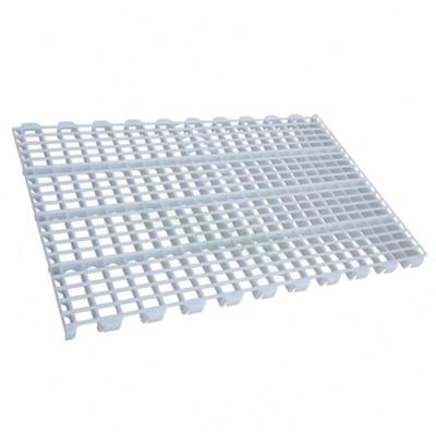 China Chicken House Factory Supply 1200*500 Mm White Plastic Chicken Slat Flooring For Broiler for sale