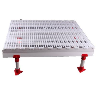 China Poultry Farm White Color Plastic Slat Flooring For Chicken Farm Hot Sale for sale