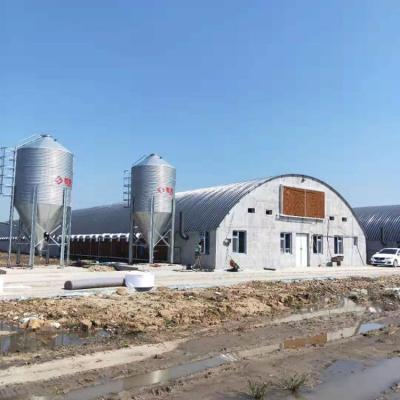 China Poultry Farm Used Feed Storage Galvanizing Stainless Steel Grain Silo For Poultry Farm Feeding System for sale