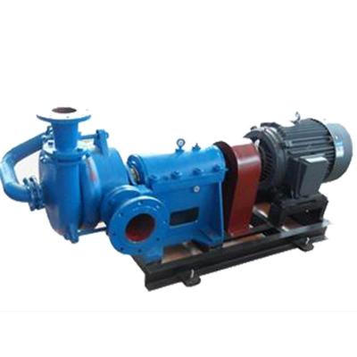 China Developing World Water Solutions High efficiency energy saving low noise Filter Press Feed Mud Sludge Centrifugal Slurry Pump  for Flotation Machine for sale