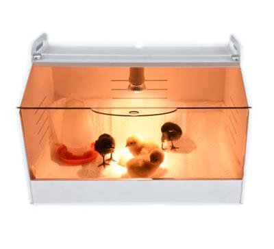 China Cultivate Hot Sale Chicken Cage Chicken Cage Brooder Box for sale