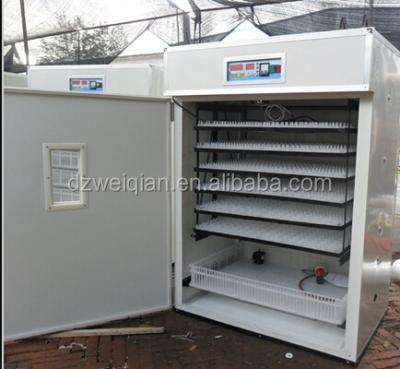 China Best Price Chicken Brooder Industrial For Commercial Chick.brooder Au Senegal for sale