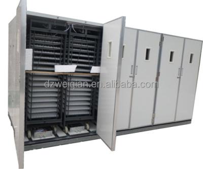 China Chicken 50000 Egg Incubator For Sale for sale