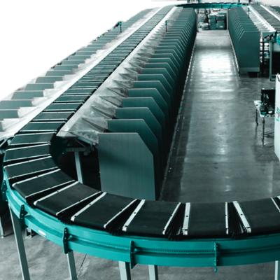 China Heat Resistant Cross Belt Matching Conveyor For Parcel /Courier/ Mail With DWS for sale