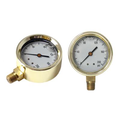 China Mini Pressure Gauge With Forged Brass Case Liquid FPG-11 Series for sale