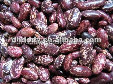 China Dried Purple Spotted Kidney Bean for sale