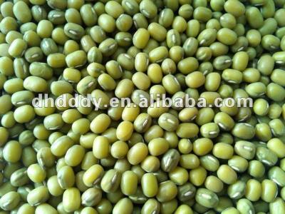 China China Dried Green Mung Beans for sale