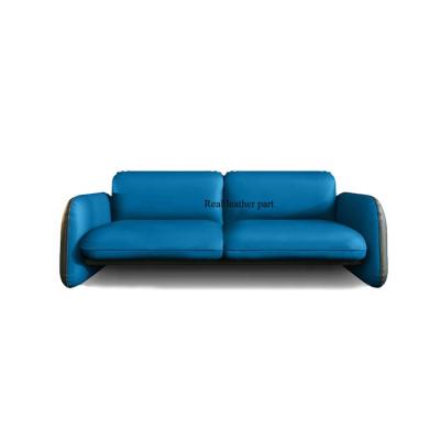 China Nordic Slipcovered Light Many Disposable Tech Fabric Living Room Sofa Four Apartment Luxury Leather Sofa Real For Distributors for sale