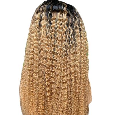 China Best Price Raw Indian Kinky Curly Human Hair Wig Afro 13X6 36 Mongolian Kinky Curly Dark Brown Lace Front Wig for sale