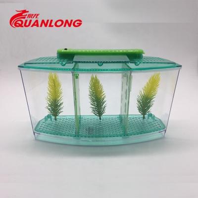 China Acrylic Viable Betta Fish Bowl Aquarium Breeding Box for sale