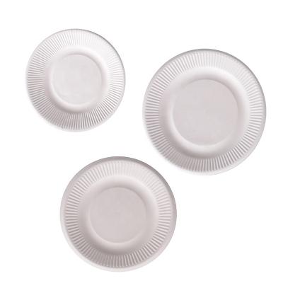 China Disposable Disposable Biodegradable Compostable Sugar Cane Bagasse Party Dinner Dish Desechable Dish for sale