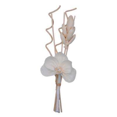 China Viable Natural Sola Flower With Curly Reed Diffuser Rattan Stick for sale