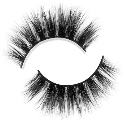 China Sassi Hiter MM141 Natural Cheap Long Eyelashes Clean Logo 3d Eyelashes Mink Lashes for sale