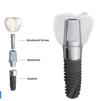 China Dental Implant System Dental Implant Fixture & Screw & Abutment Implants & Interventional Materials for sale