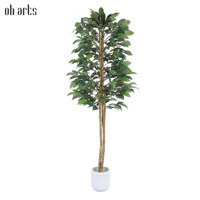 China Garden Decorative Plant Direct Sale 180cm Artificial Coffee Tree For Indoor Outdoor Decoration for sale