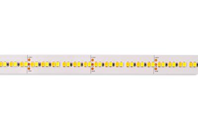 Chine Twin Color LED Strip New High Lumen 2835 240 LEDs/m high lumen TW Product Advantages à vendre