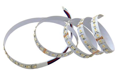 China LEDCORP 2835+2110 RGBW 240LEDs/m 10mm LED Strip New for Amusement Park and Theater Lighting for sale