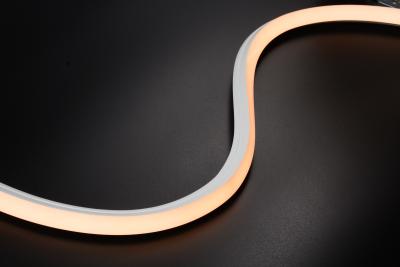 China LEDCORP® 3D Neon Flex The Ultimate Choice for Any Project en venta