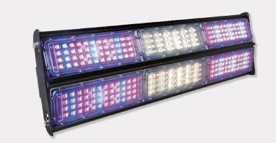 중국 LED Grow Lights Horticulture LED Lights for plant growing LED Let it Grow 판매용