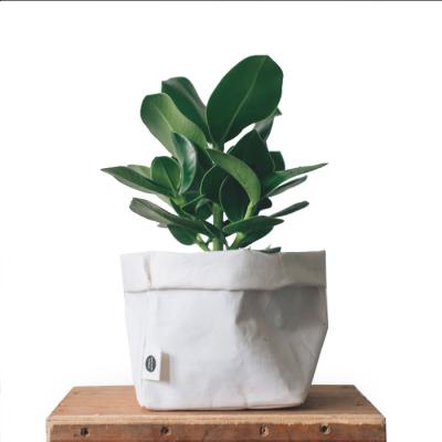 China Recycled Materials Low Price Guaranteed Quality Washable Kraft Paper Pot & Garden Pot Planters, Grow Bags for sale