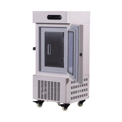 China Medical Stainless Steel 28L -40 Degree 304 Degree Temperature Ultra Low Freezer for sale