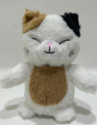 China Falando o gato de chita, repete o que você diz o gato de chita animal de Toy Electronic do luxuoso para meninos, meninas & presente do bebê. à venda