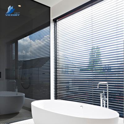 China High Quality Motorized / Smart / Remote Control Aluminum Blackout Blinds for sale