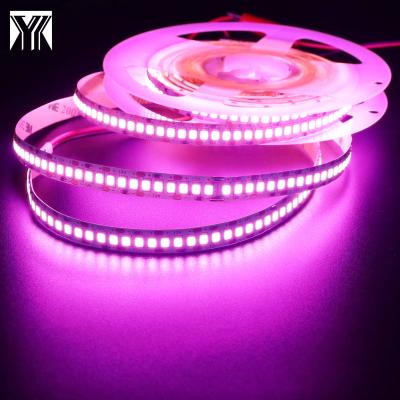 China Hot Selling Indoor Decoration DC12V 10mm 240 LED LANDSCAPE Per Meter IP20 Pink SMD 2835 Flexible Led Strip Light for sale