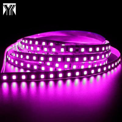 China Indoor LANDSCAPE Room Decoration High Brightness DC12V 8mm 5M 120LED/M Pink IP20 SMD 2835 Flexible Led Strip Light for sale