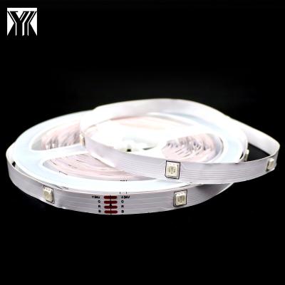 China Flexible Smart WiFi 5050 SMD RGB LANDSCAPE Color Changing 12V IP65 12D/16D Flexible Strip Light for sale