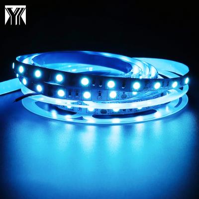 China LANDSCAPE Christmas Decoration Light Wholesale SMD 5050 12V IP20 60D High Quality Ice Blue Flexible Strip Light 10mm for sale