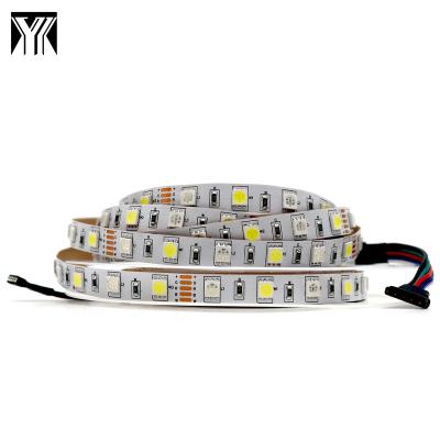 China High Quality LANDSCAPE DC12V SMD 5050 IP20 60D RGB+W 10mm Flexible Strip Light for sale